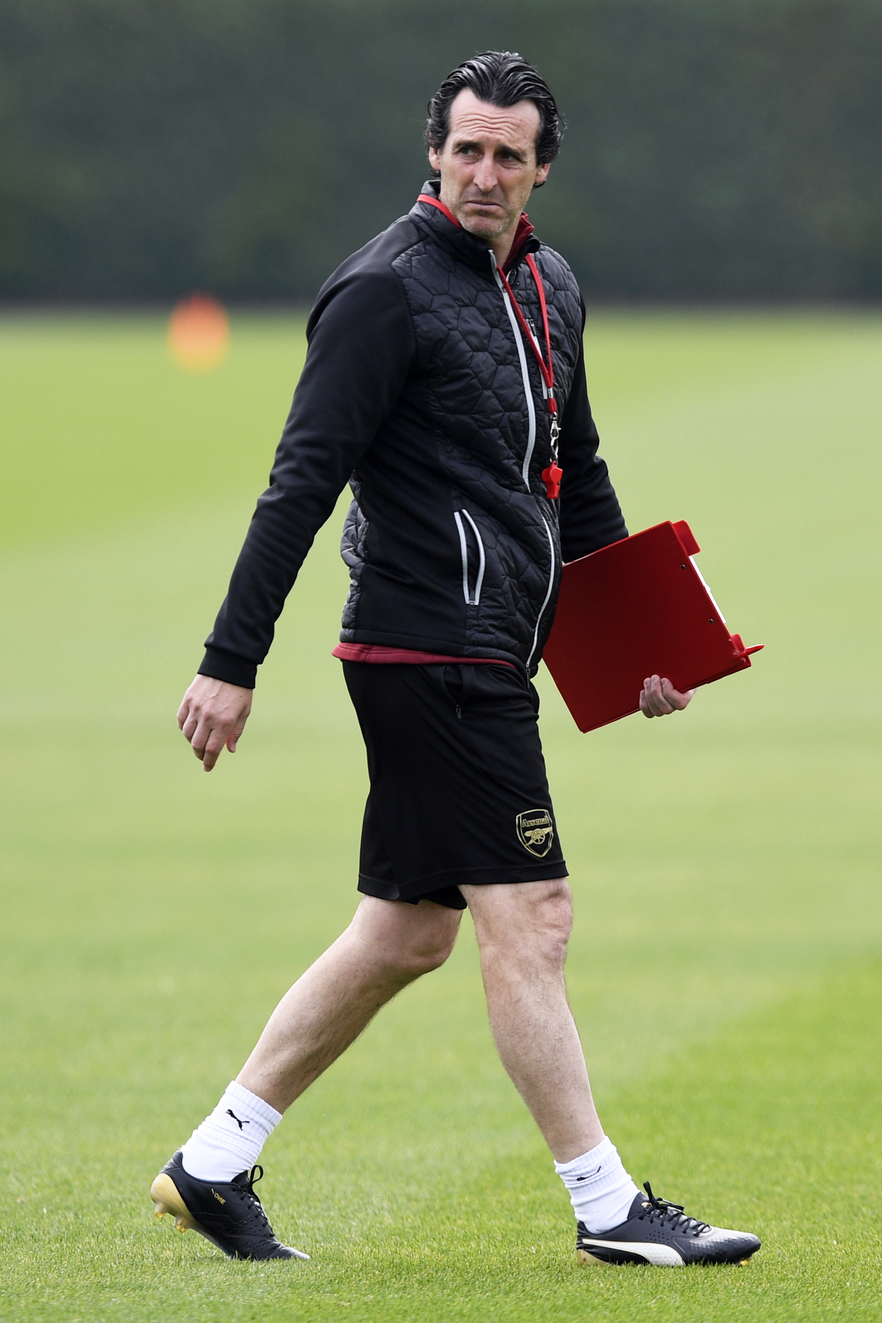 雄鹿大胜国 雄鹿大胜国